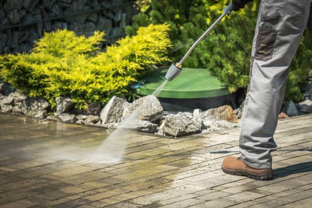 Best Driveway Cleaning and Restoration in Newbern, TN