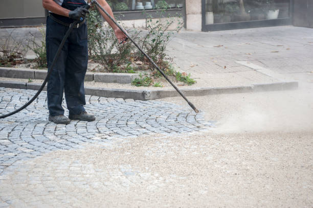 Best Graffiti Removal Services in Newbern, TN