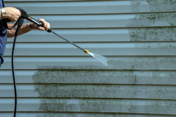 Best Soft Washing for Delicate Surfaces in Newbern, TN