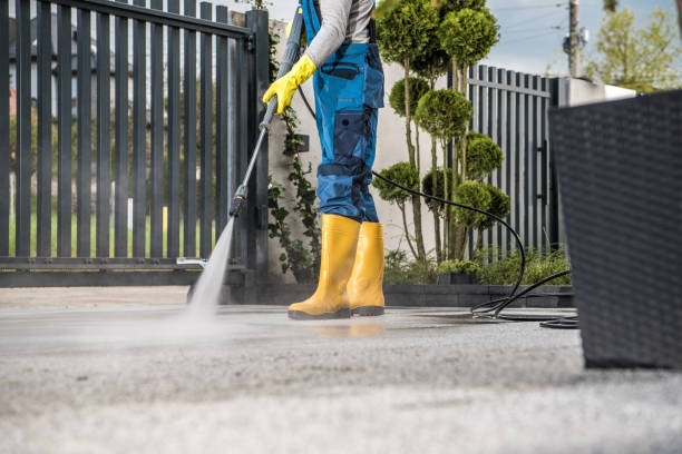 Professional Pressure Washing Services in Newbern, TN