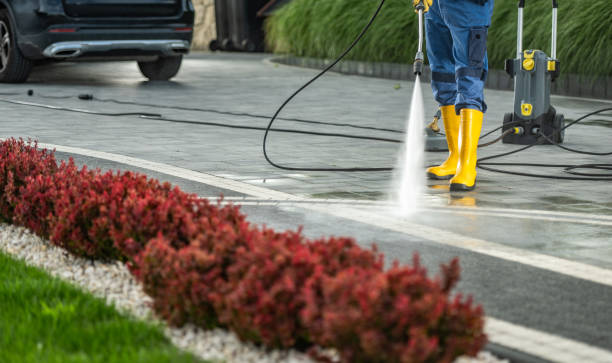 Best Fence Cleaning and Maintenance in Newbern, TN