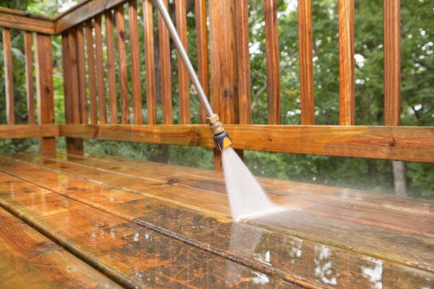Best Roof Cleaning and Mildew Removal in Newbern, TN